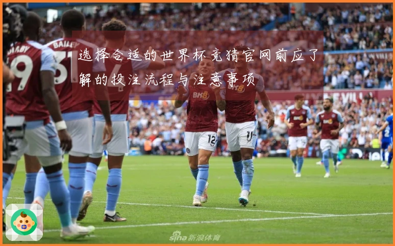 选择合适的世界杯竞猜官网前应了解的投注流程与注意事项