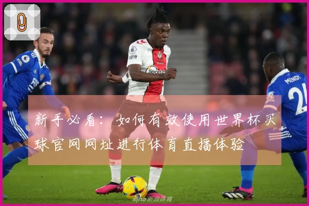 新手必看：如何有效使用世界杯买球官网网址进行体育直播体验