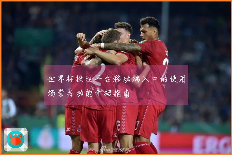 世界杯投注平台移动端入口的使用场景与功能介绍指南