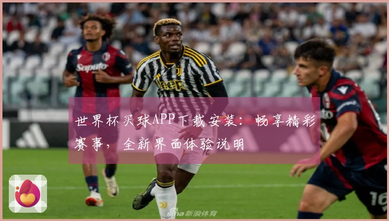 世界杯买球APP下载安装：畅享精彩赛事，全新界面体验说明