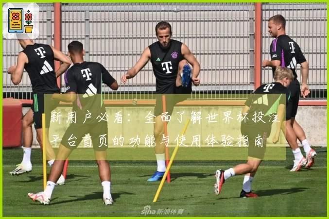 新用户必看：全面了解世界杯投注平台首页的功能与使用体验指南