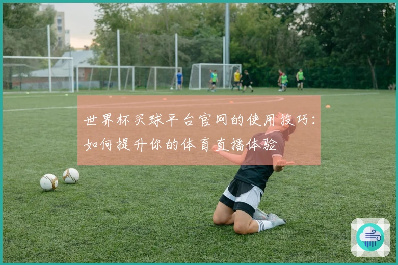 世界杯买球平台官网的使用技巧：如何提升你的体育直播体验