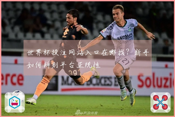 世界杯投注网站入口在哪找？新手如何辨别平台正规性