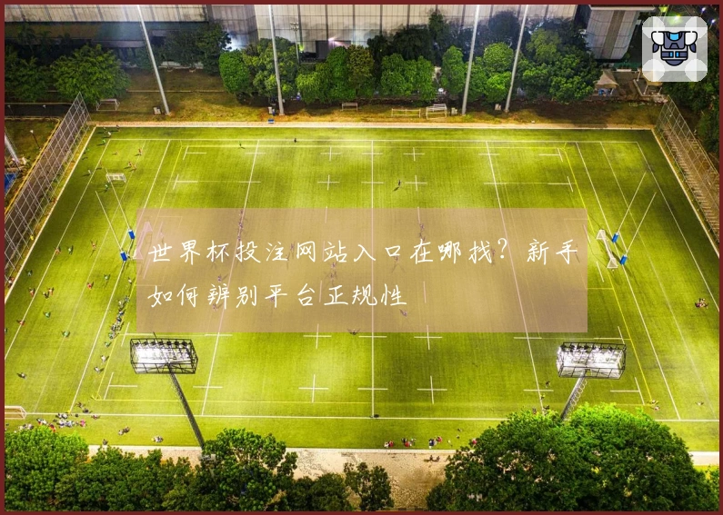 世界杯投注网站入口在哪找？新手如何辨别平台正规性
