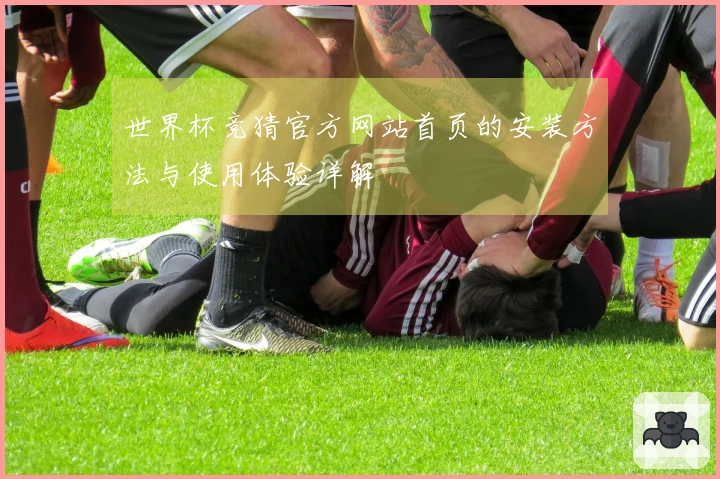 世界杯竞猜官方网站首页的安装方法与使用体验详解