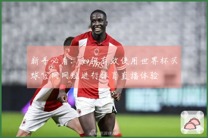 新手必看：如何有效使用世界杯买球官网网址进行体育直播体验