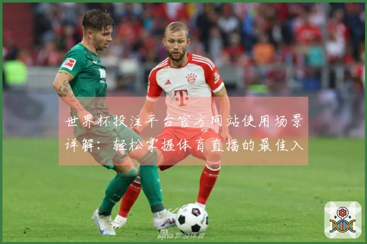世界杯投注平台官方网站使用场景详解：轻松掌握体育直播的最佳入口与功能