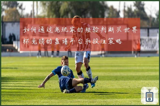 如何通过老玩家的经验判断买世界杯竞猜的靠谱平台和投注策略
