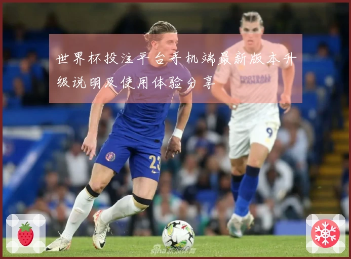世界杯投注平台手机端最新版本升级说明及使用体验分享