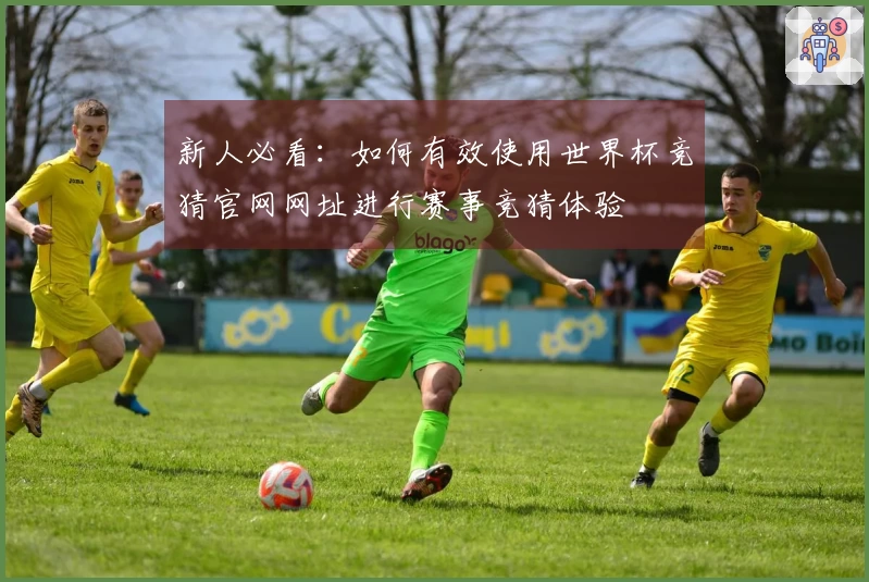 新人必看：如何有效使用世界杯竞猜官网网址进行赛事竞猜体验